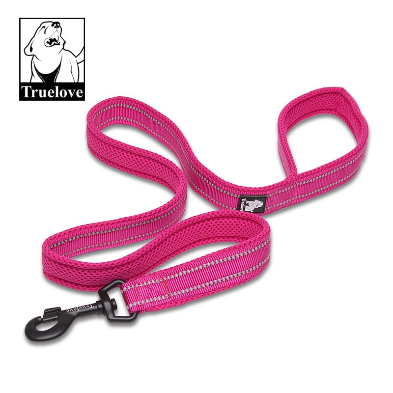 nylon dog leash