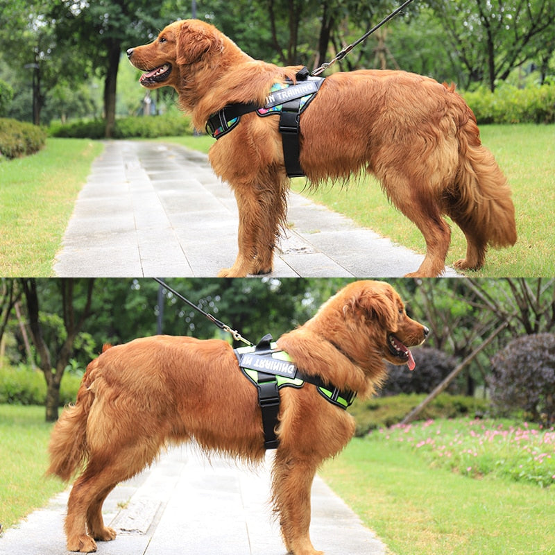 Adjustable nylon dog harness