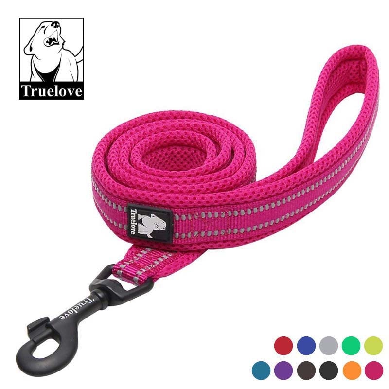 nylon dog leash