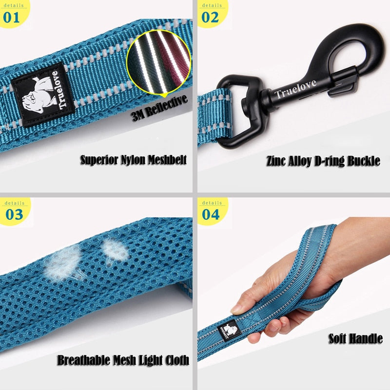 nylon dog leash