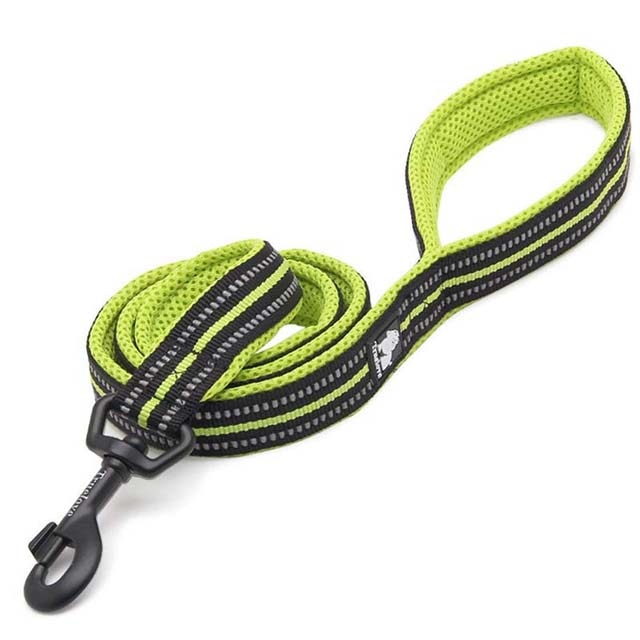 nylon dog leash