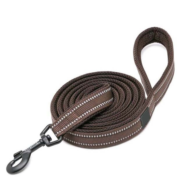 nylon dog leash