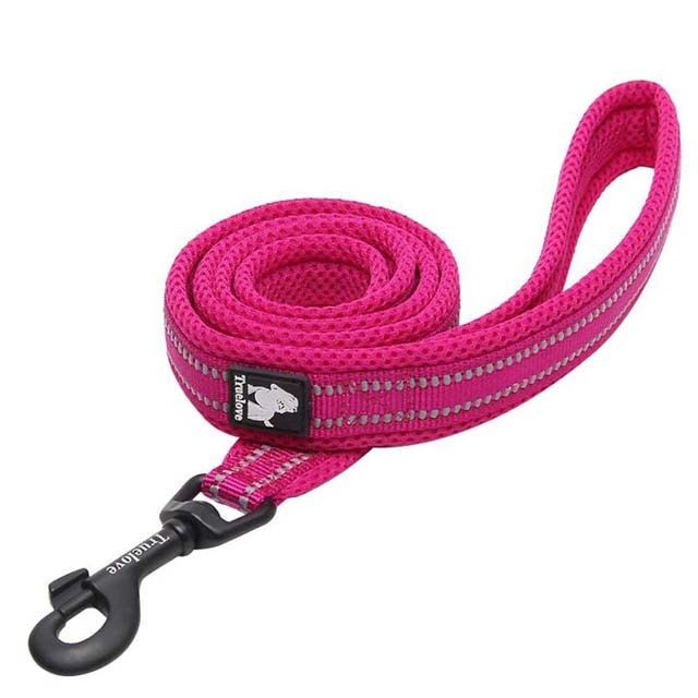 nylon dog leash