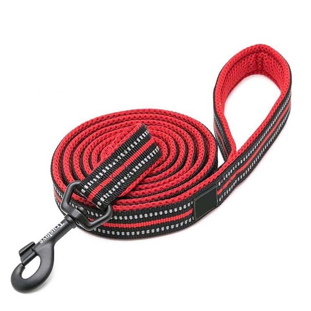 nylon dog leash