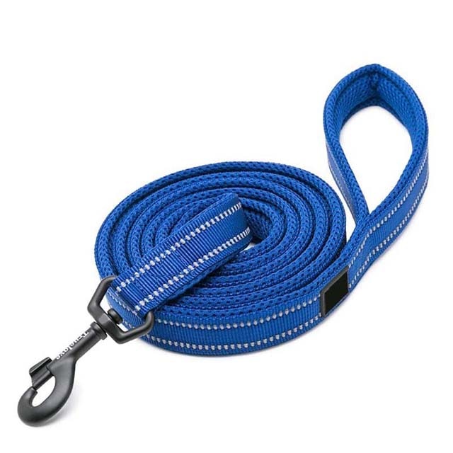 nylon dog leash