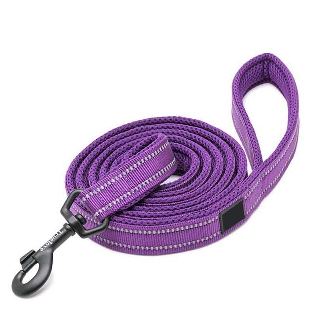 nylon dog leash