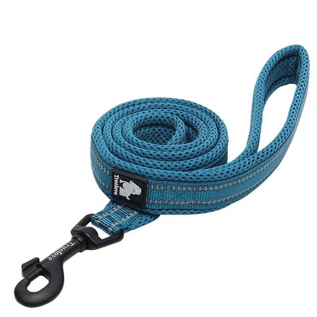 nylon dog leash