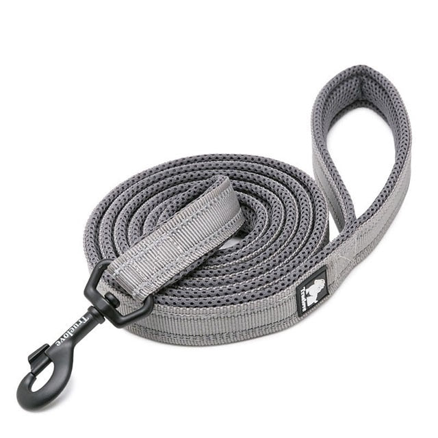 nylon dog leash