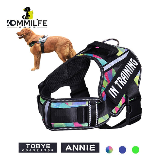 Adjustable nylon dog harness