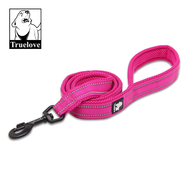 nylon dog leash