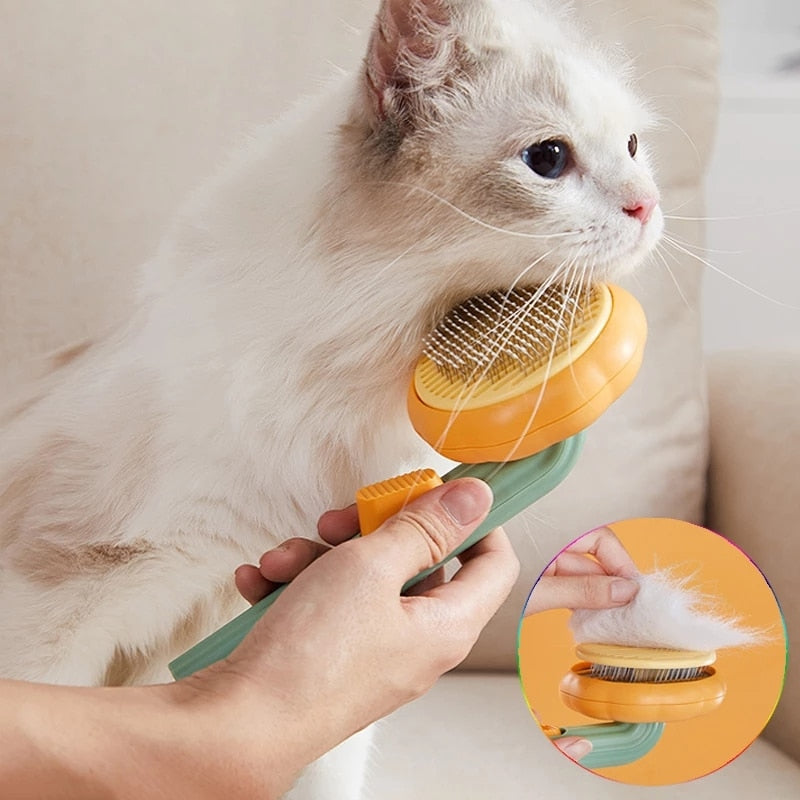 Self-cleaning brush for changing the coat