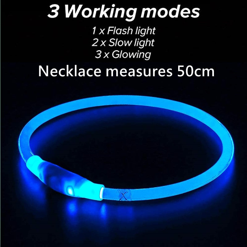 Led USB dog collar