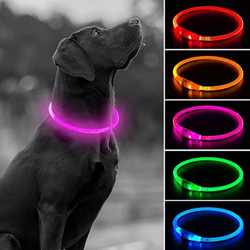 Led USB dog collar